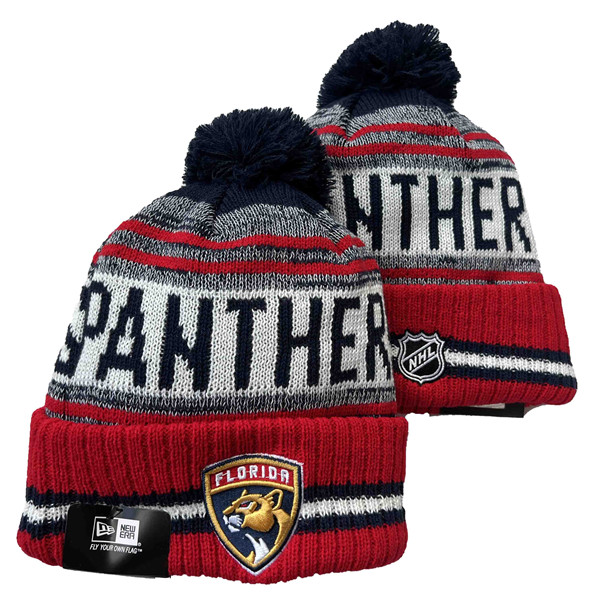 Florida Panthers 2024 Knit Hats 002